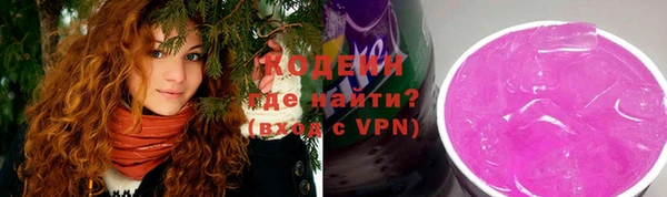 мет Няндома