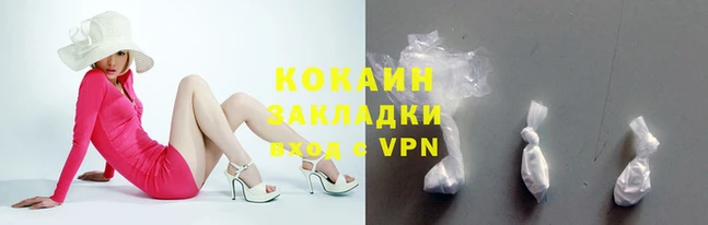 мет Няндома