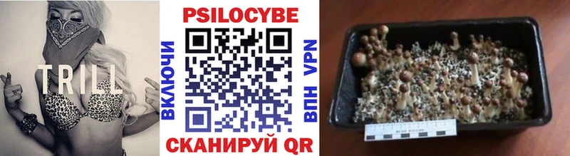 Галлюциногенные грибы Cubensis  Оханск 